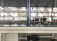 PP/PE/PVC acanalados instalan tubos la cadena de producción hecha para los clientes argelinos